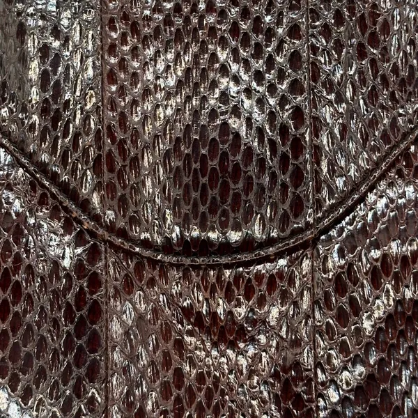 Celine brown python leather handbag with gold tone hardware