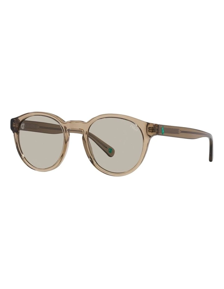 PH4192 Sunglasses in Brown