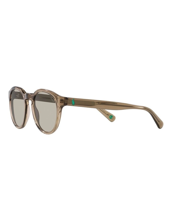 PH4192 Sunglasses in Brown