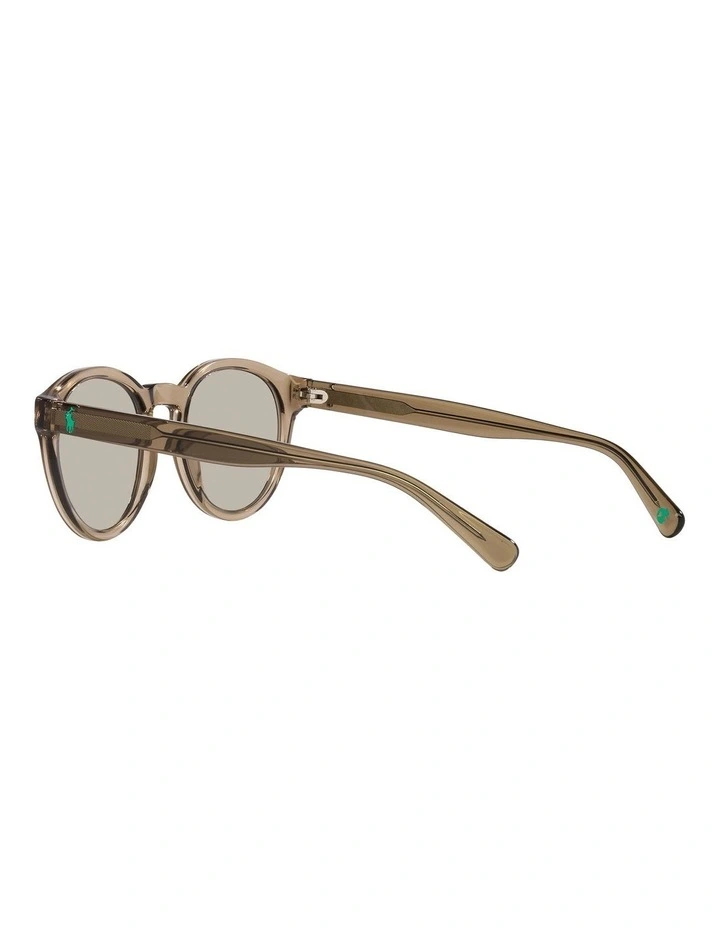 PH4192 Sunglasses in Brown