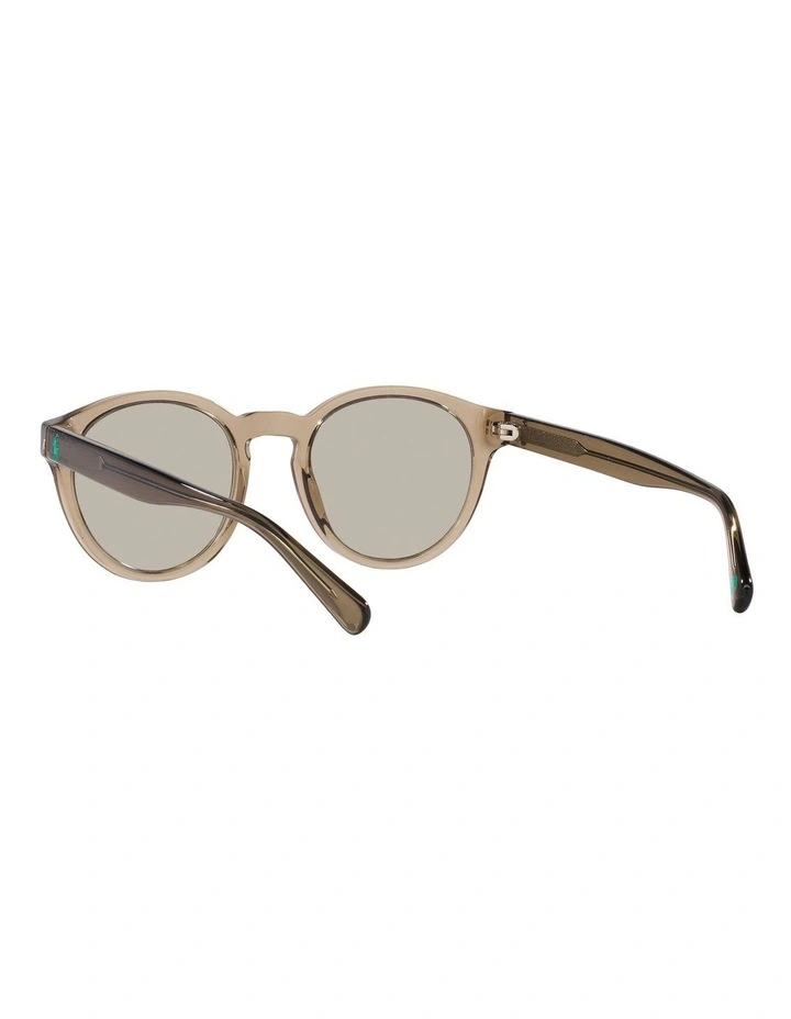 PH4192 Sunglasses in Brown