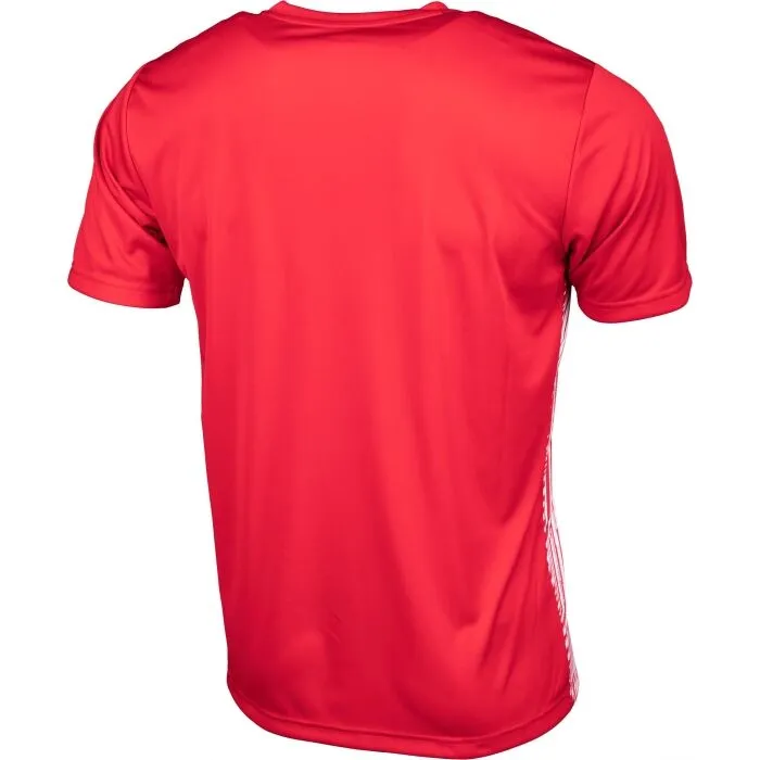 Puma SKS PREMATCH JERSEY