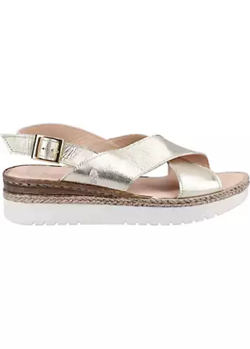 Saphira Gold Sandals by Hush Puppies | Look Again